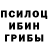 Галлюциногенные грибы прущие грибы goga azrumelashvili