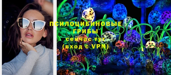 стаф Алзамай