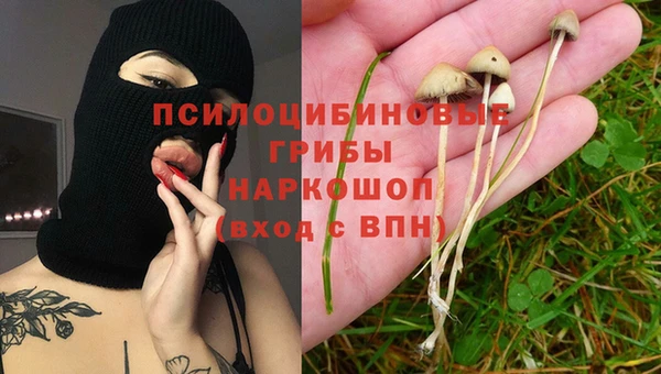стаф Алзамай