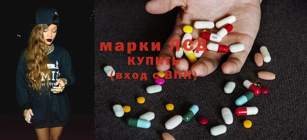 стаф Алзамай