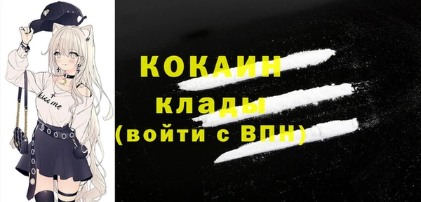 стаф Алзамай